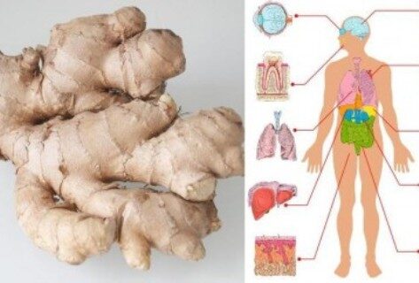 eat-ginger-every-day-for-1-month-and-this-will-happen-to-your-body-358x242-2236580